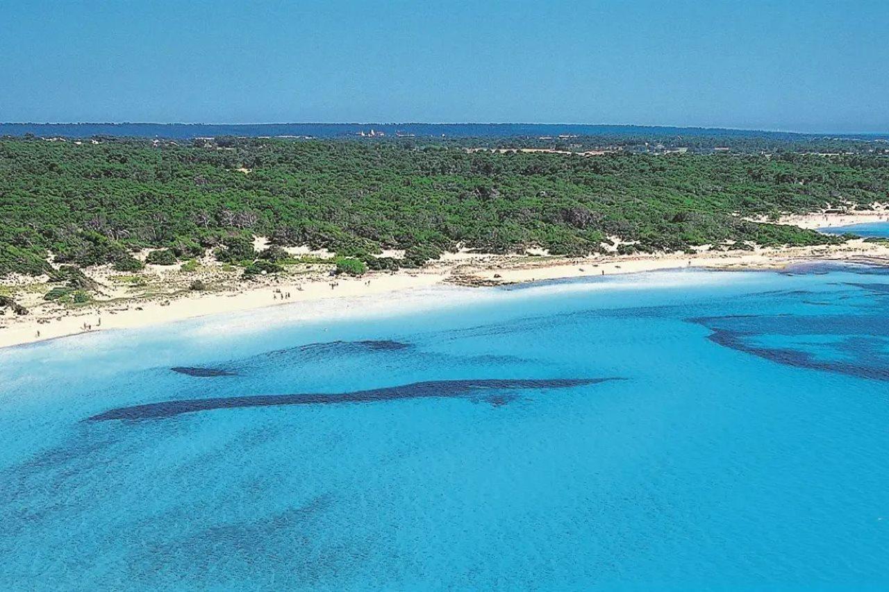 Es Trenc Hotell Colonia de Sant Jordi Eksteriør bilde
